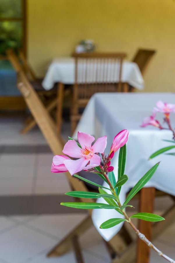 Regia Panzio Bed & Breakfast Halászi Dış mekan fotoğraf
