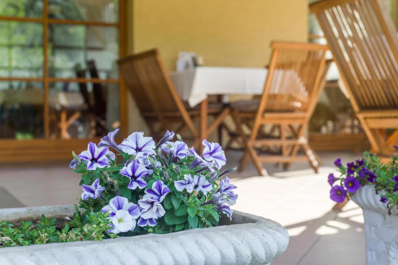 Regia Panzio Bed & Breakfast Halászi Dış mekan fotoğraf